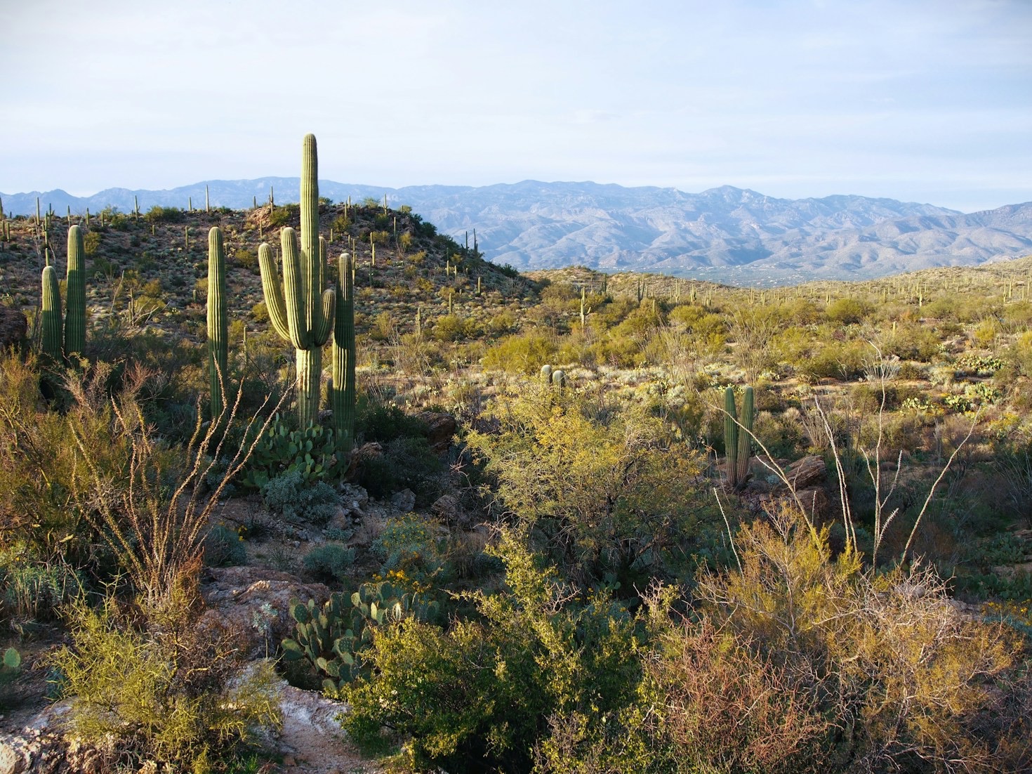 Creating Heat-Resistant Walkways: A Guide